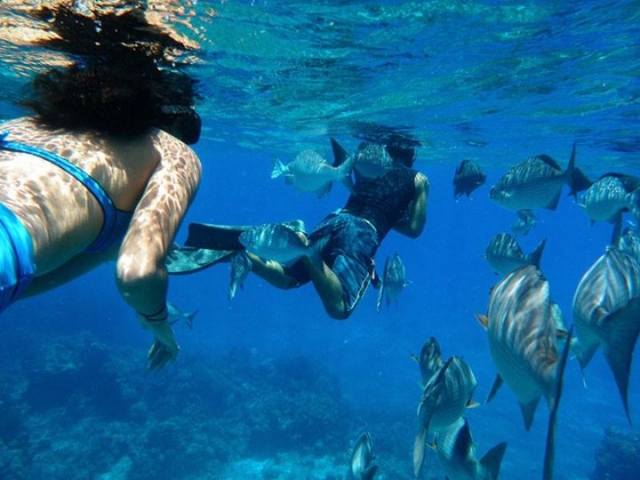  snorkel em cozumel 